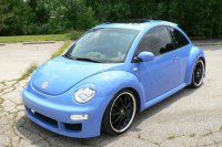 BEETLE (45)